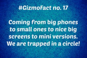 fact 17